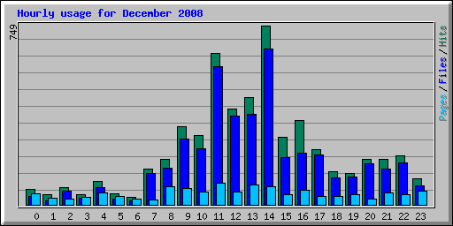 Hourly usage for December 2008