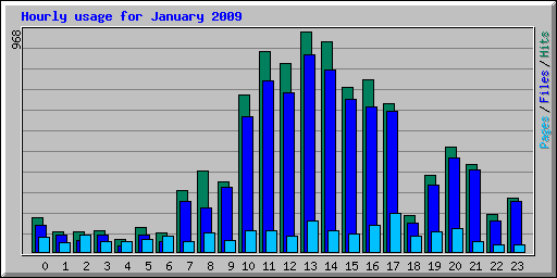 Hourly usage for January 2009